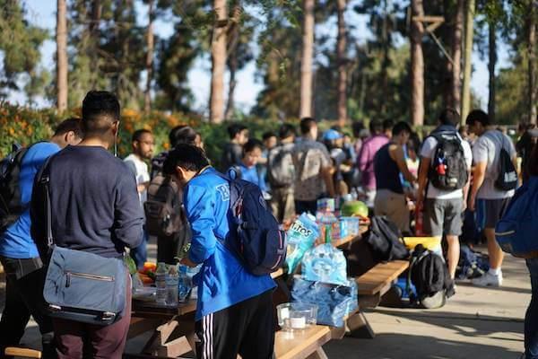 decorative carousel image