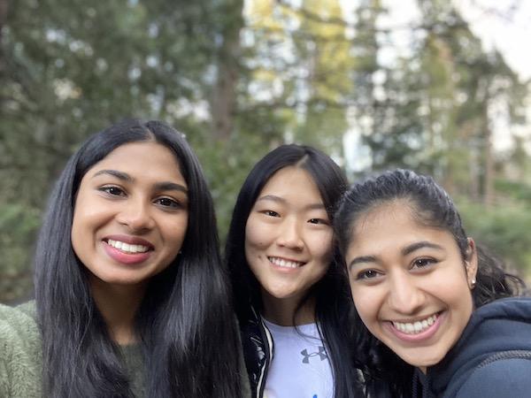 decorative carousel image